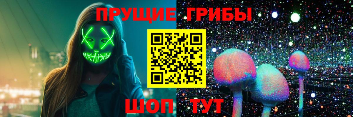 Псилоцибиновые грибы Cubensis  Псилоцибиновые грибы Psilocybine cubensis  Вход с VPN  Александров 
