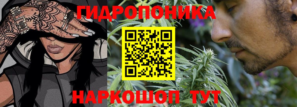Бошки марихуана семена Александров